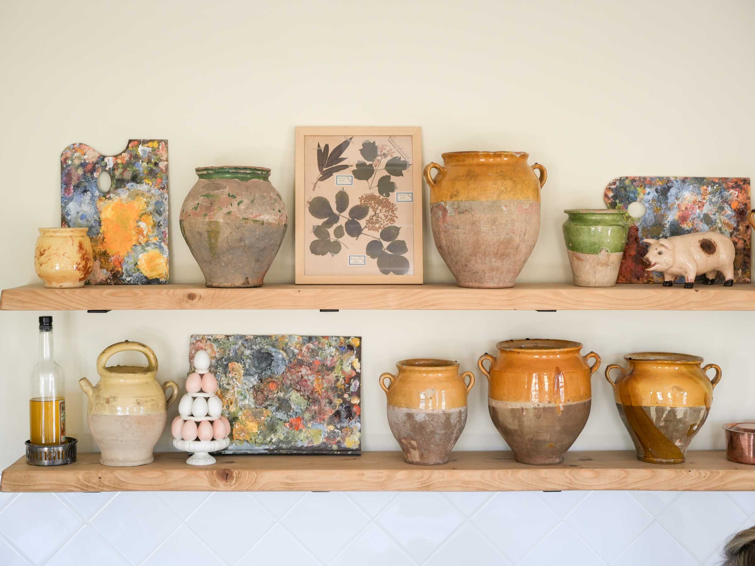 Antique-style framed botanical specimens