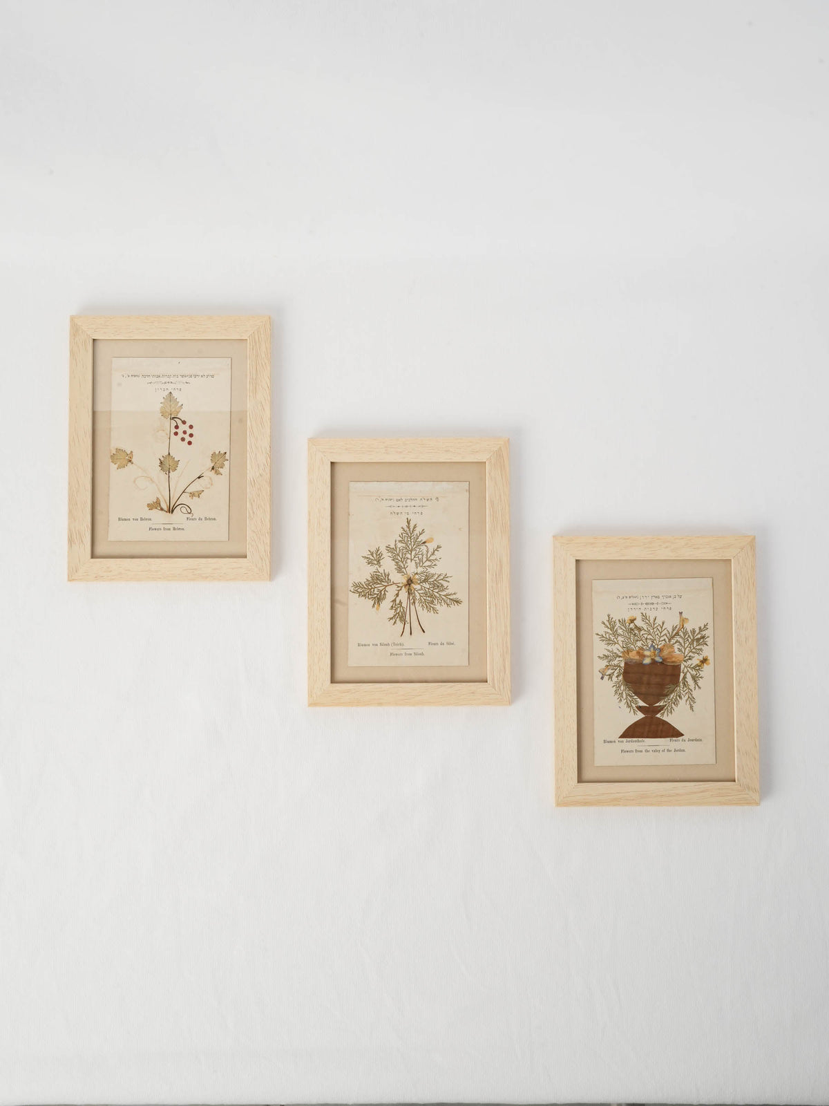 Set of Three Antique Pressed-Flower Compositions from Hebron, Siloah and the Jordan Valley - 9 x 6¾"