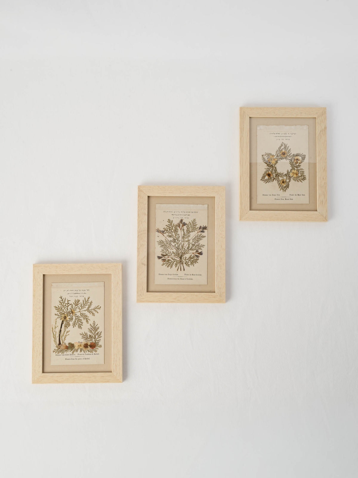 Set of Three Antique Holy Land Pressed-Flower Souvenirs – Rachel’s Tomb, Mount Gerizim and Mount Zion - 9" x 6¾"