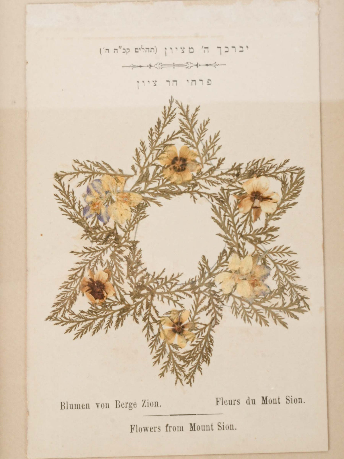 Set of Three Antique Holy Land Pressed-Flower Souvenirs – Rachel’s Tomb, Mount Gerizim and Mount Zion - 9" x 6¾"