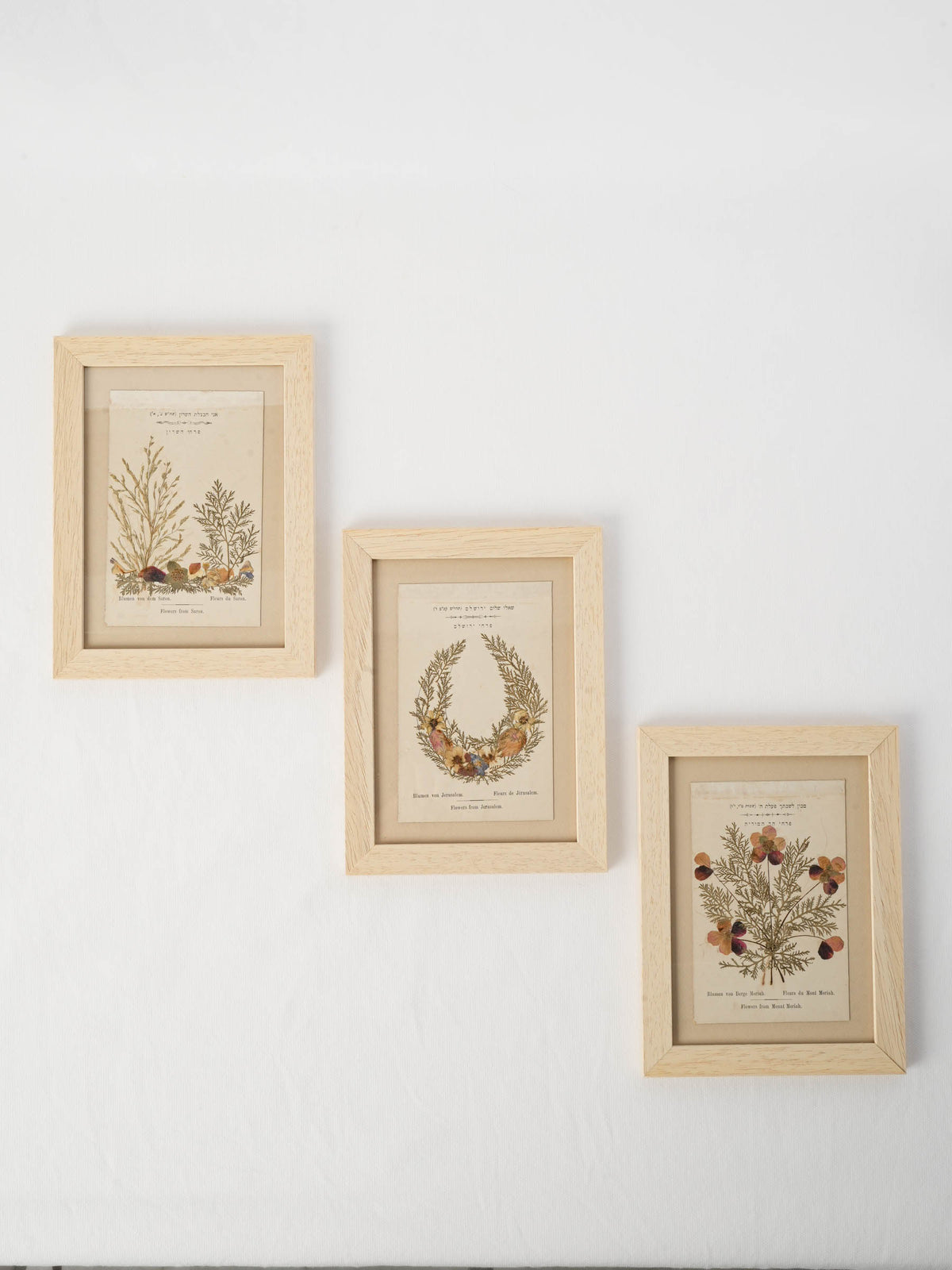 Set of Three Antique Pressed-Flower Compositions - Souvenirs from the Holy Land - 9" x 6¾"