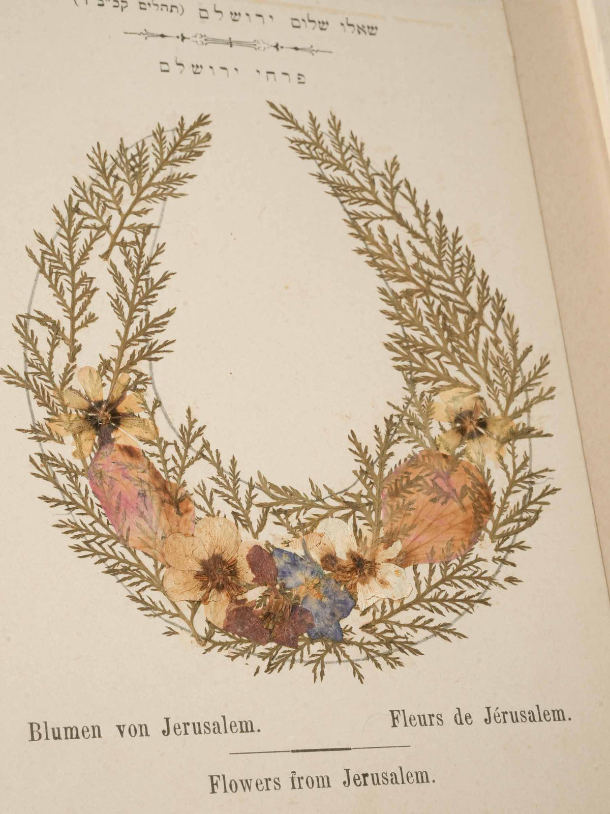 Set of Three Antique Pressed-Flower Compositions - Souvenirs from the Holy Land - 9" x 6¾"