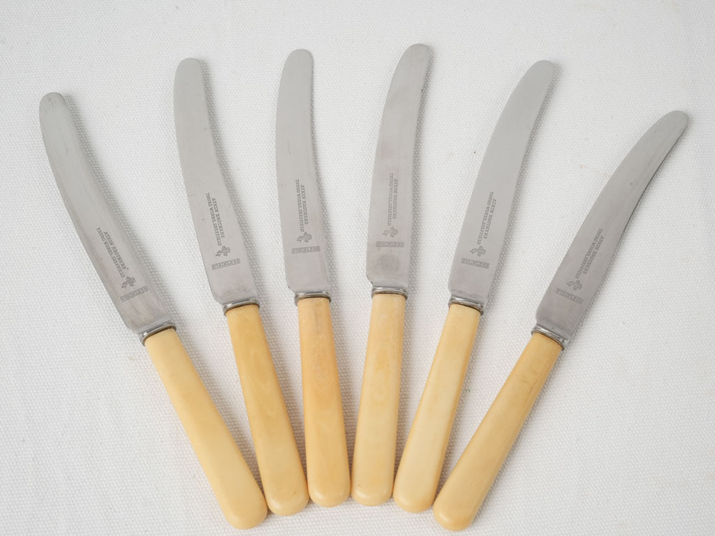 Durable bone-handled English dining knives