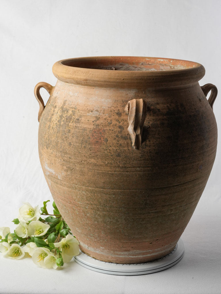 Rustic Provençal terracotta planter