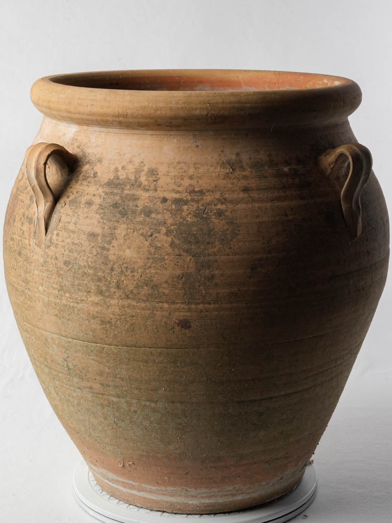 Looped-handle rustic French vase