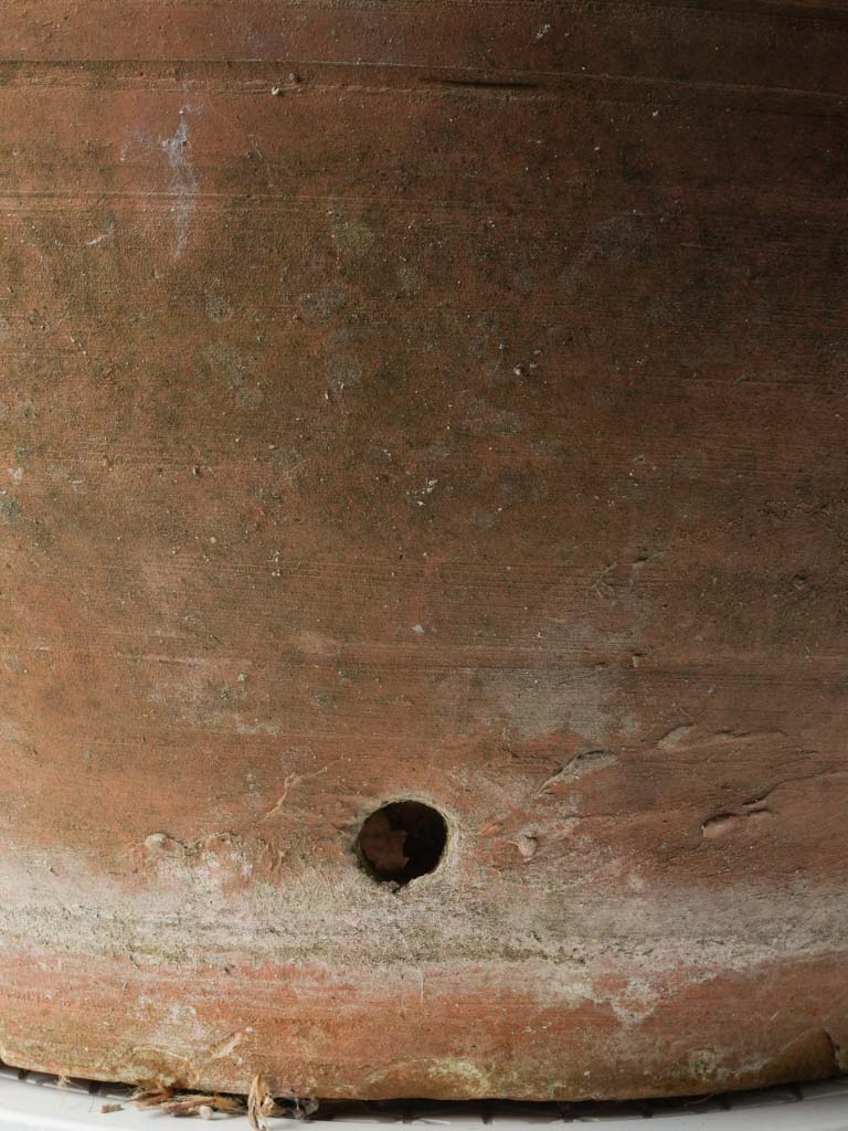 Elegant traditional French-style jar