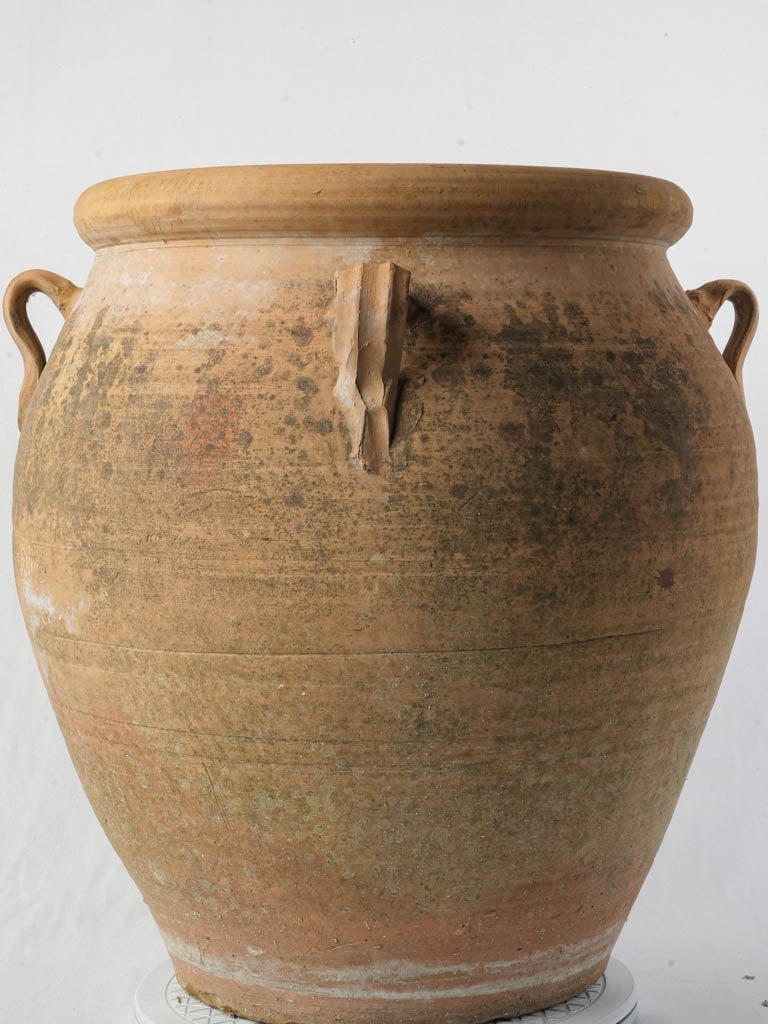 Warm minimalist terracotta planter