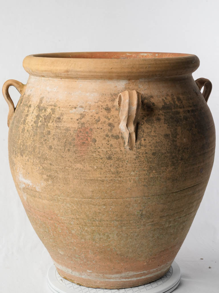 Classic tapered Provençal jar