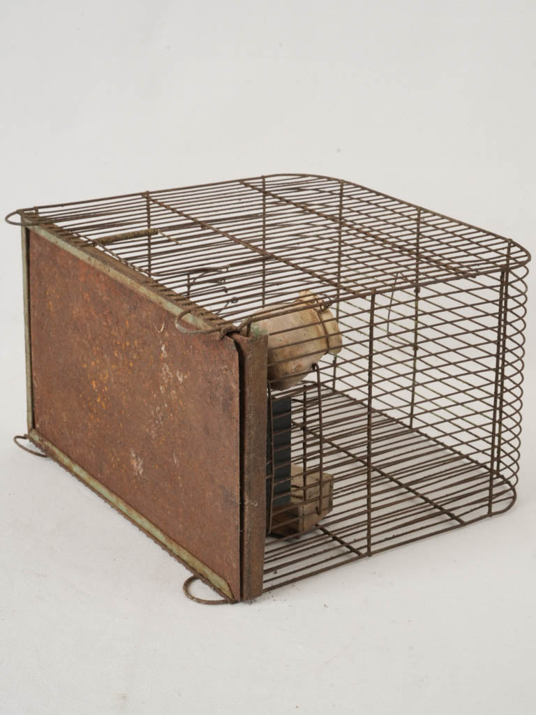 Whimsical decorative element birdcage