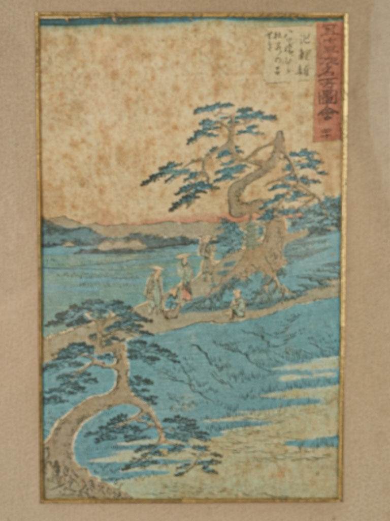 Timeless nature-themed art series