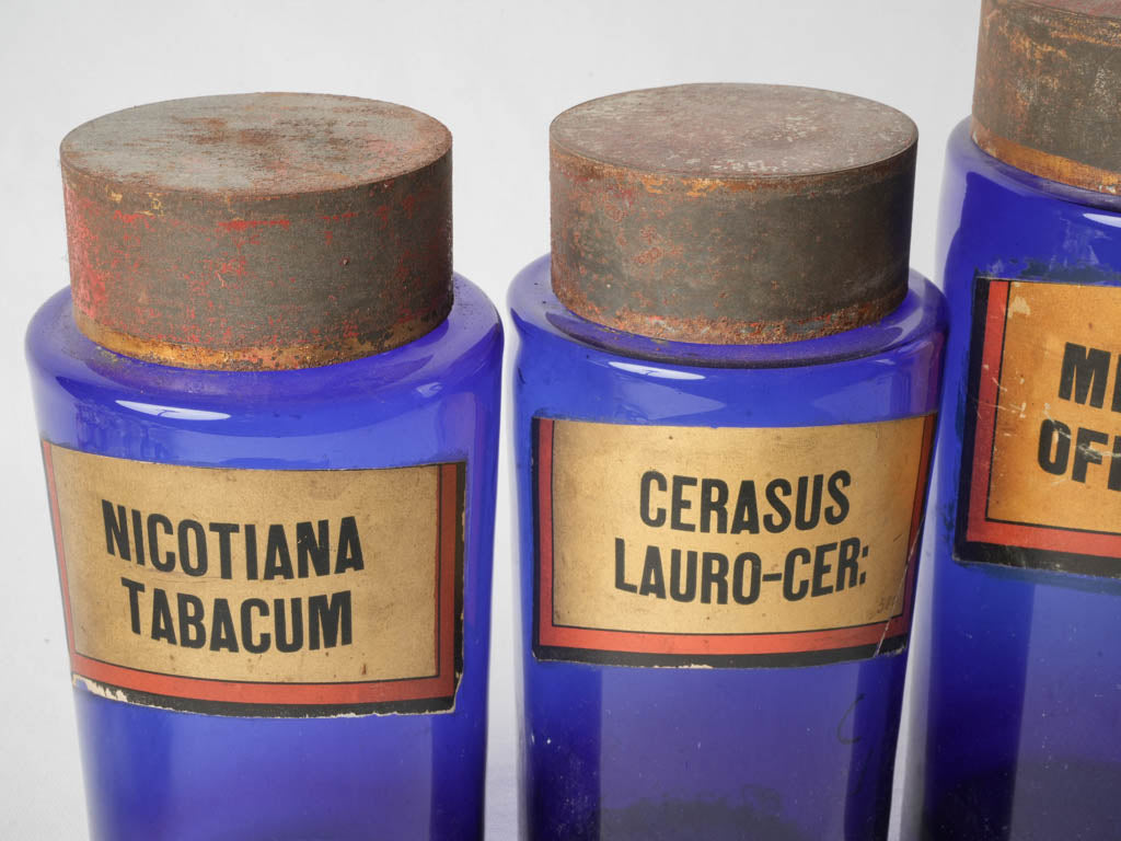 Collectible botanical-labeled glass jars