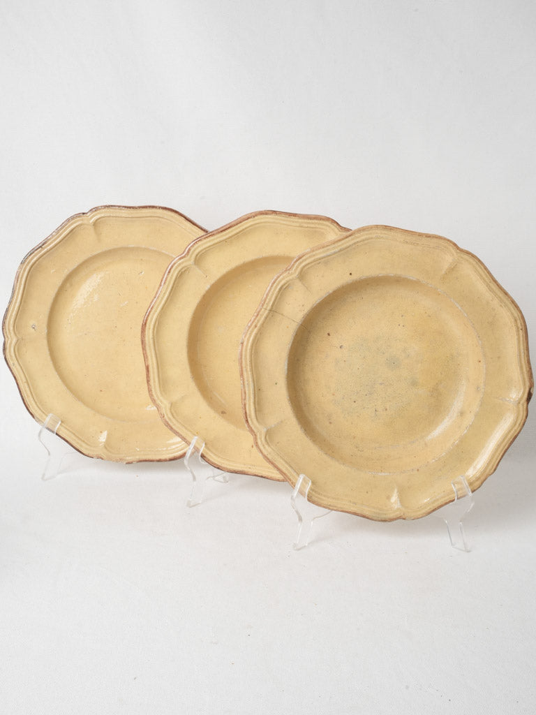 Unique patina kitchen display dishes