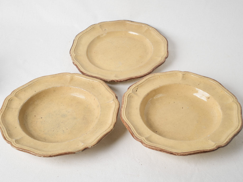 Vintage farmhouse tableware collection