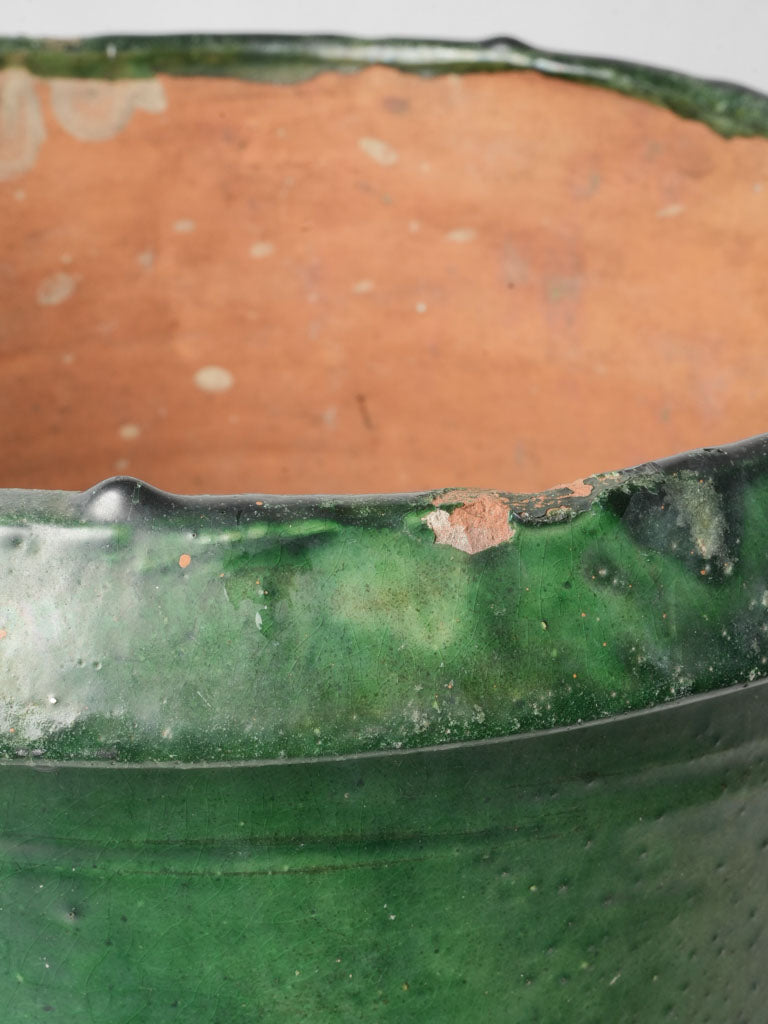 Distinctive green horticultural vessel