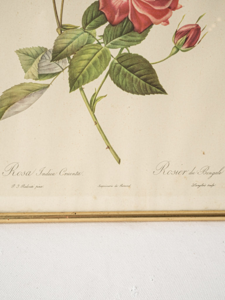 Authentic period garden-inspired print