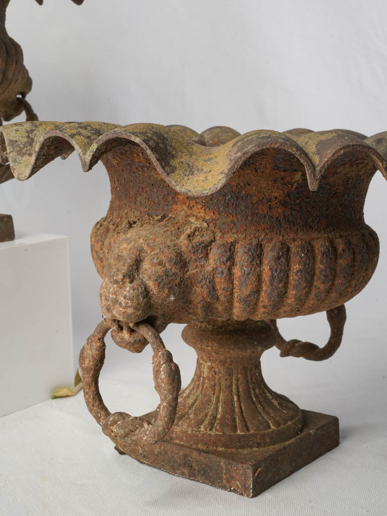 Pair of 19th Century French Cast Iron Garden Urns w/ Scalloped Rims and Lion Head Handles - 10¾"