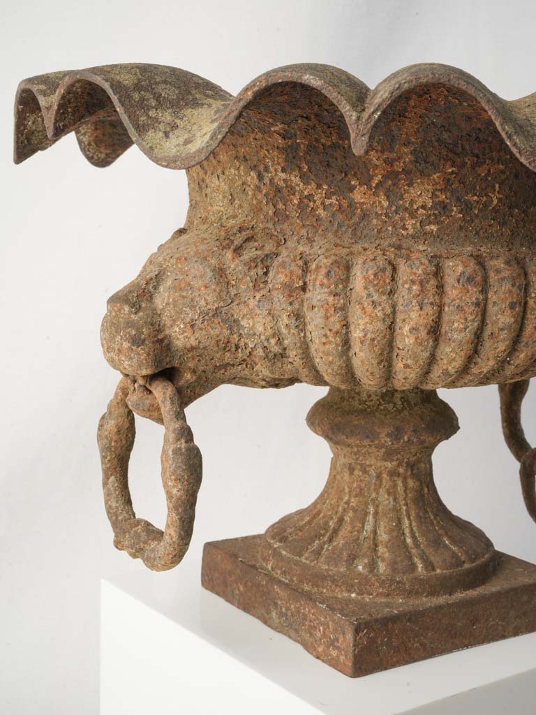 Pair of 19th Century French Cast Iron Garden Urns w/ Scalloped Rims and Lion Head Handles - 10¾"