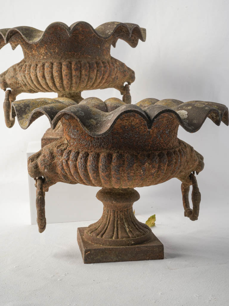 Pair of 19th Century French Cast Iron Garden Urns w/ Scalloped Rims and Lion Head Handles - 10¾"