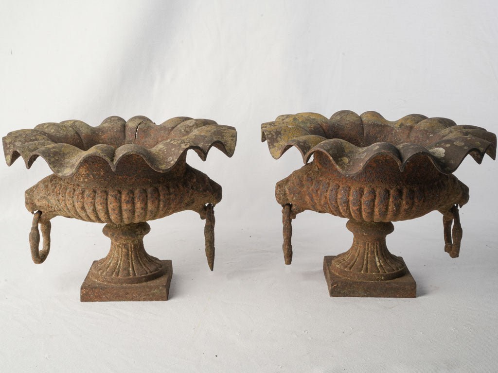 Pair of 19th Century French Cast Iron Garden Urns w/ Scalloped Rims and Lion Head Handles - 10¾"