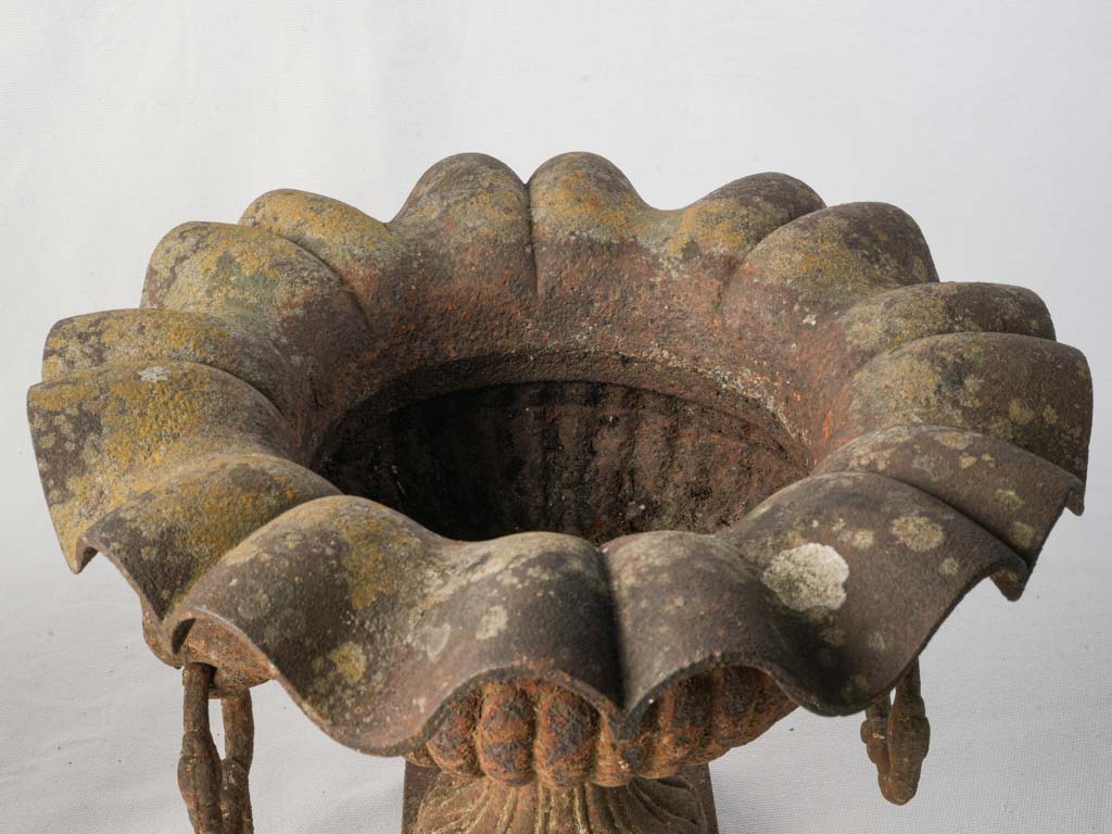 Pair of 19th Century French Cast Iron Garden Urns w/ Scalloped Rims and Lion Head Handles - 10¾"