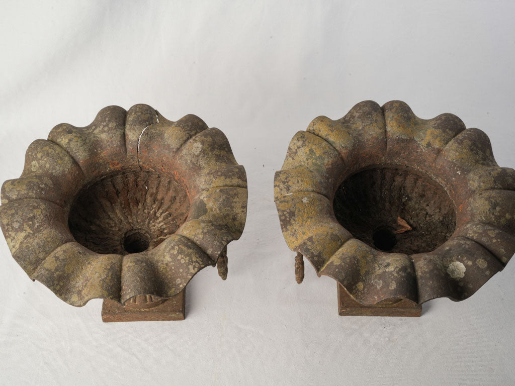 Pair of 19th Century French Cast Iron Garden Urns w/ Scalloped Rims and Lion Head Handles - 10¾"