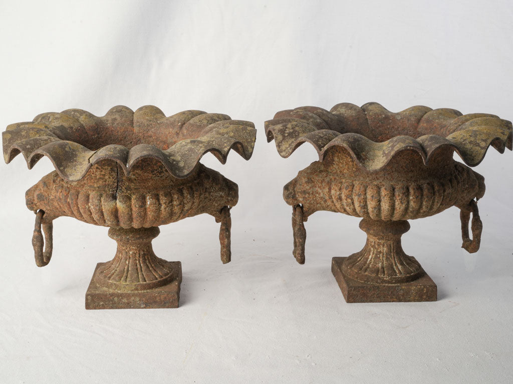 Pair of 19th Century French Cast Iron Garden Urns w/ Scalloped Rims and Lion Head Handles - 10¾"