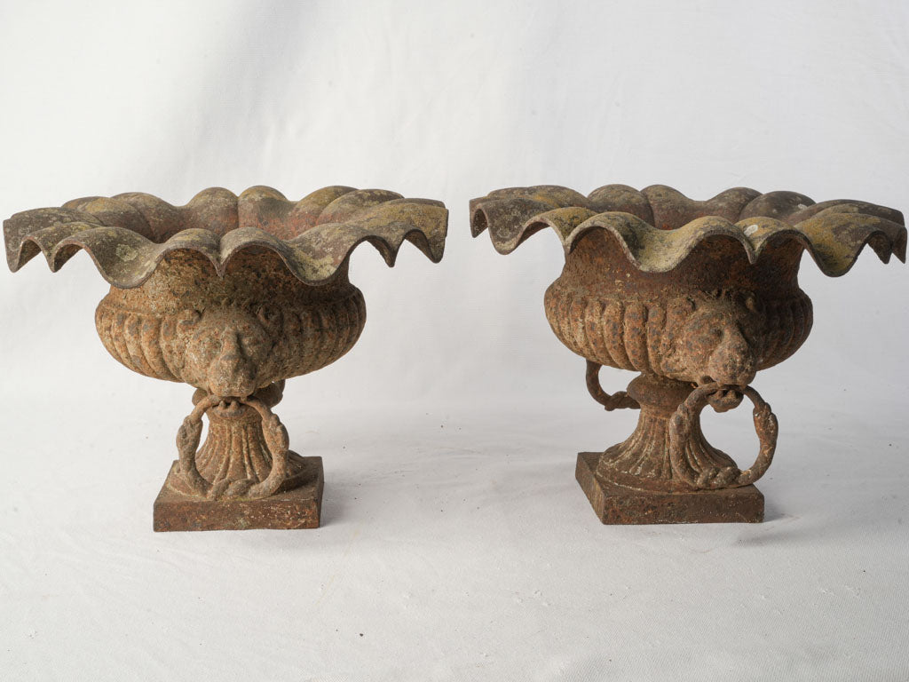 Pair of 19th Century French Cast Iron Garden Urns w/ Scalloped Rims and Lion Head Handles - 10¾"