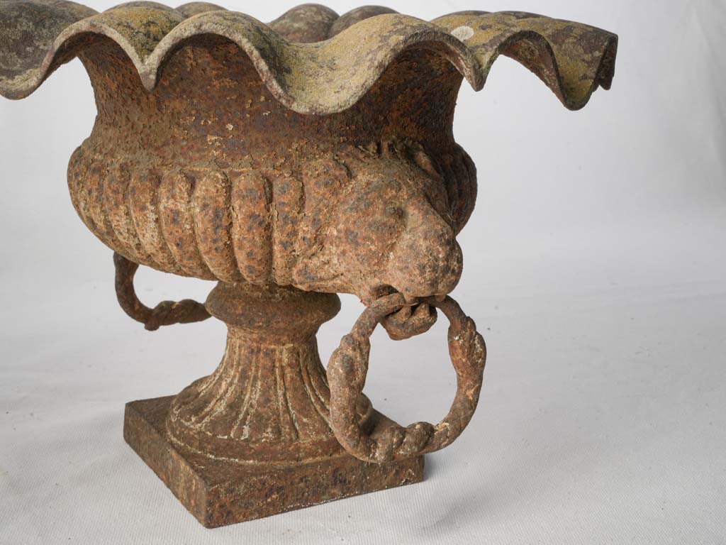 Pair of 19th Century French Cast Iron Garden Urns w/ Scalloped Rims and Lion Head Handles - 10¾"