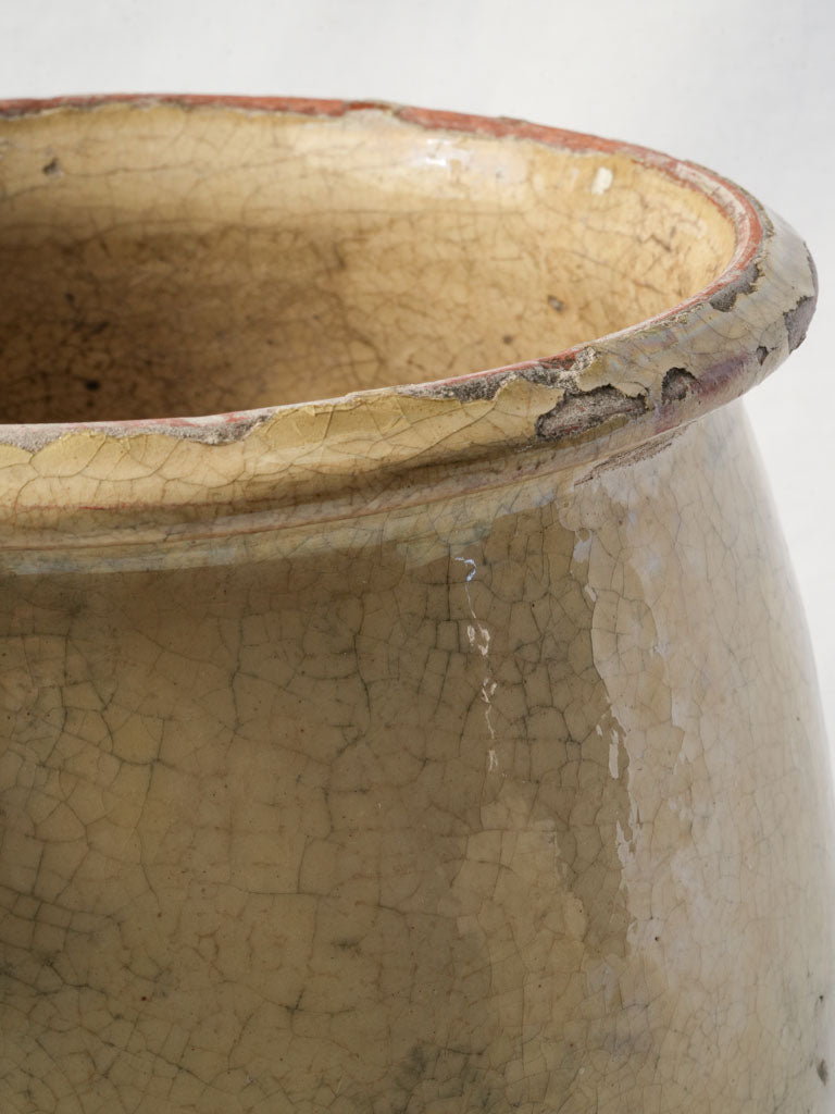 Elegant wide-mouthed storage vessel