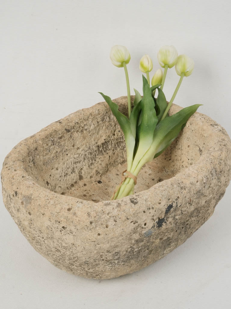 Weathered antique French stone trough planter