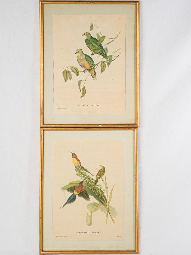 Vintage exquisite chromolithographic prints