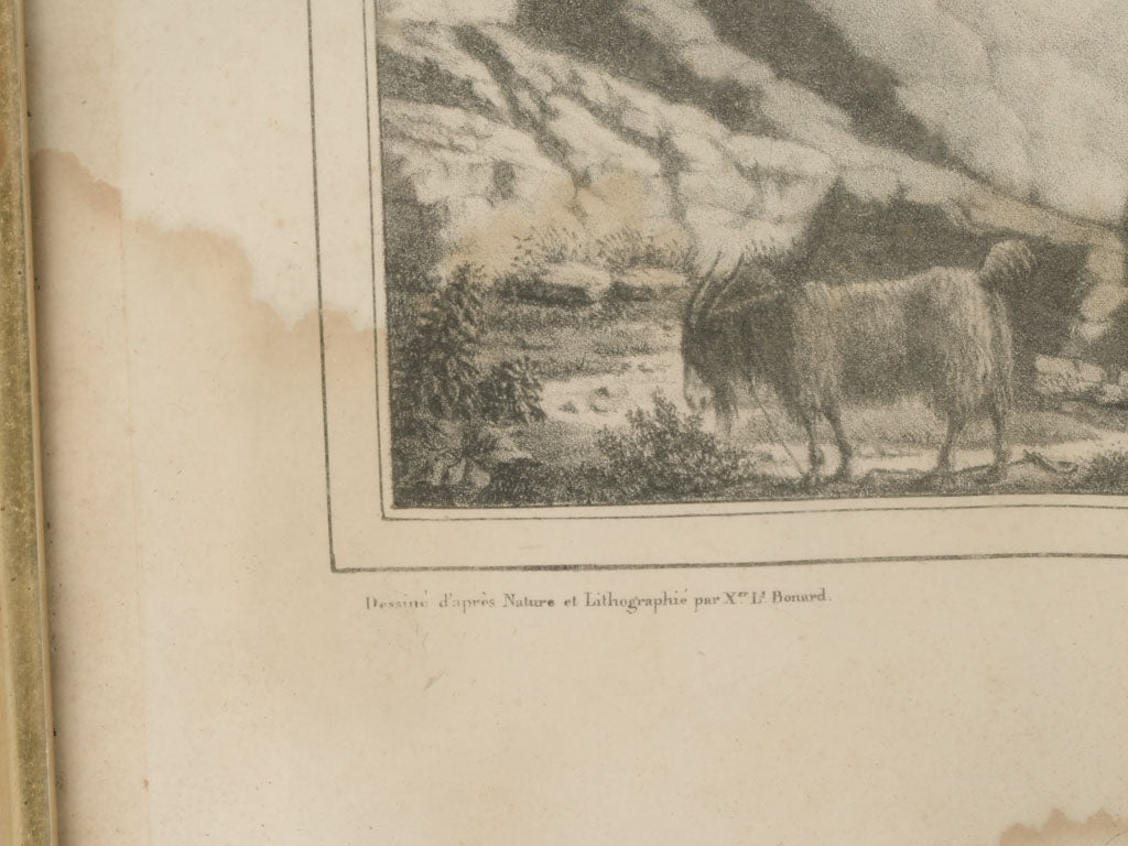 Remarkable Vaucluse Region Engraved Art