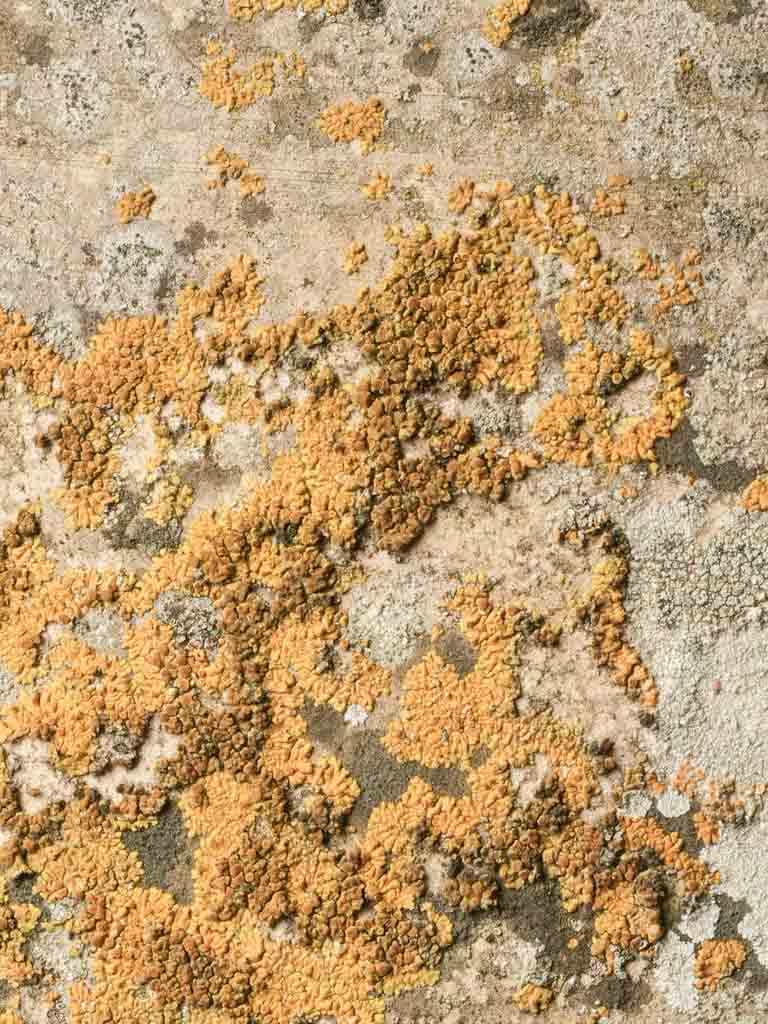 Rustic traditional Biot jar