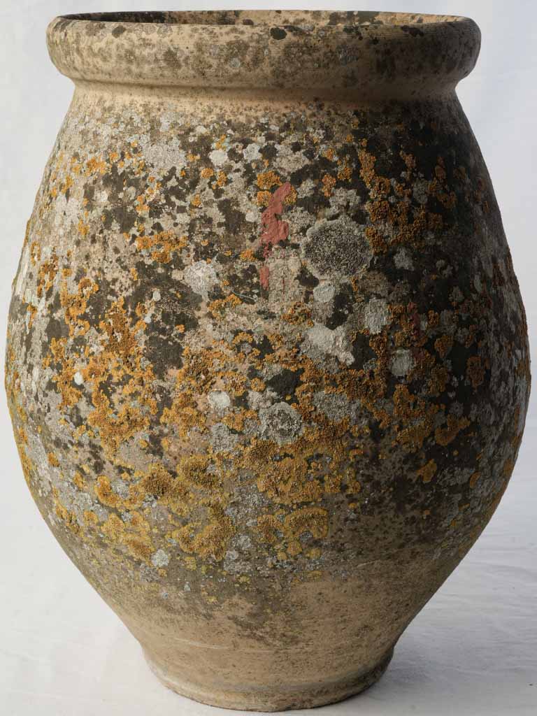 Timeworn mossy garden planter