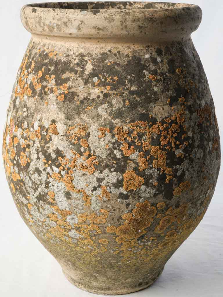 Earthy curved terracotta jardiniere