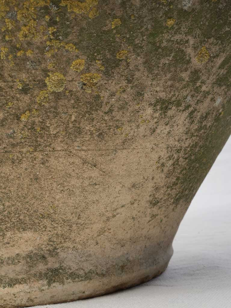 Sunlit courtyard plant container