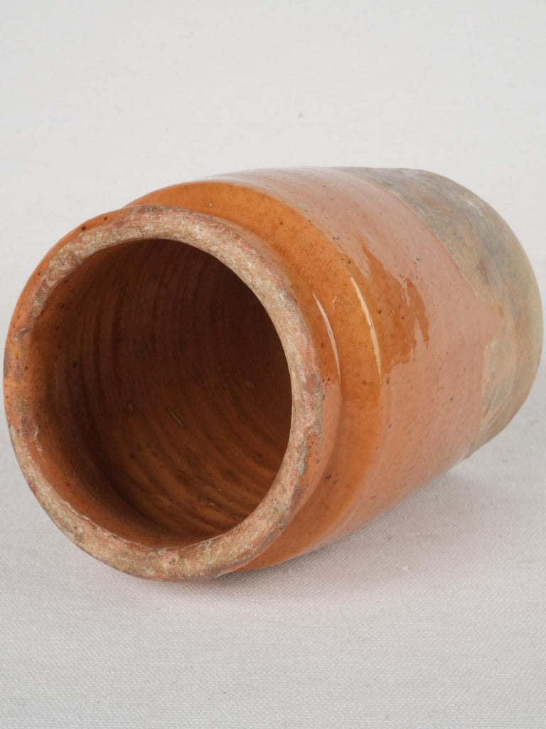 Timeless Provençal glazed cornichon