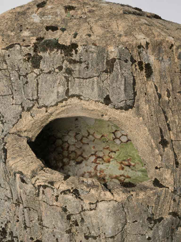 Textured cement garden centerpiece