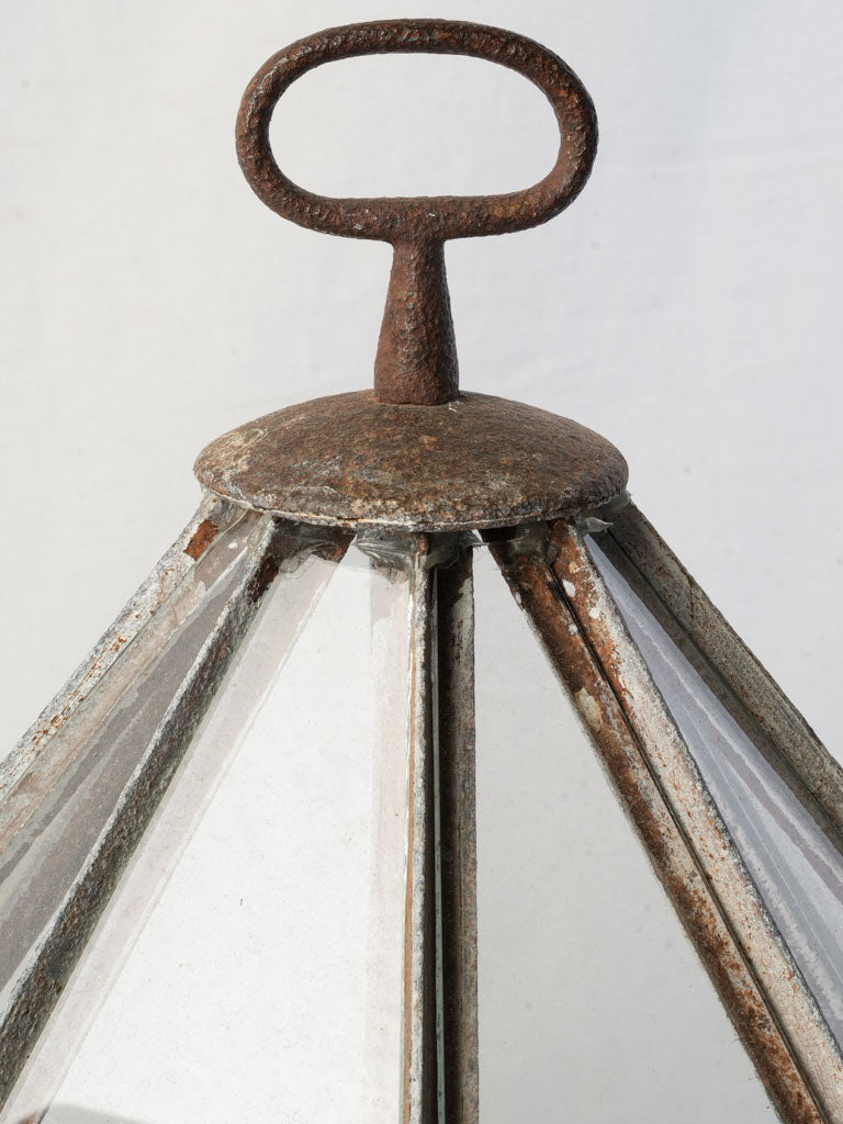 Nostalgic delicate glass plant cover