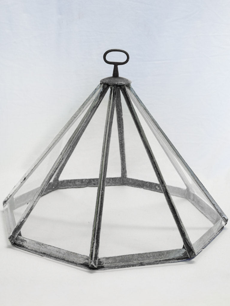 Vintage iron frame garden cloche