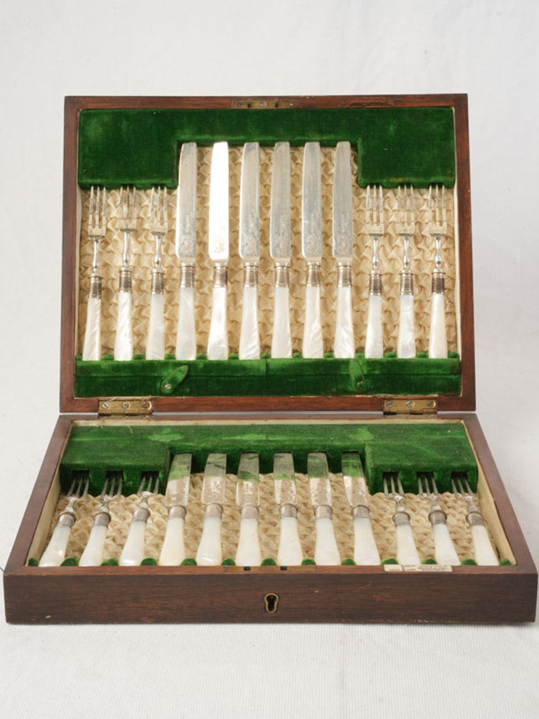 Luminous mother-of-pearl handle set