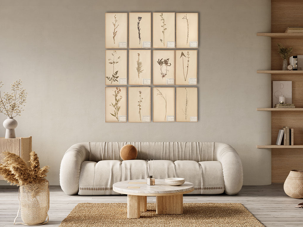 Genuine antique French botanical herbarium collection