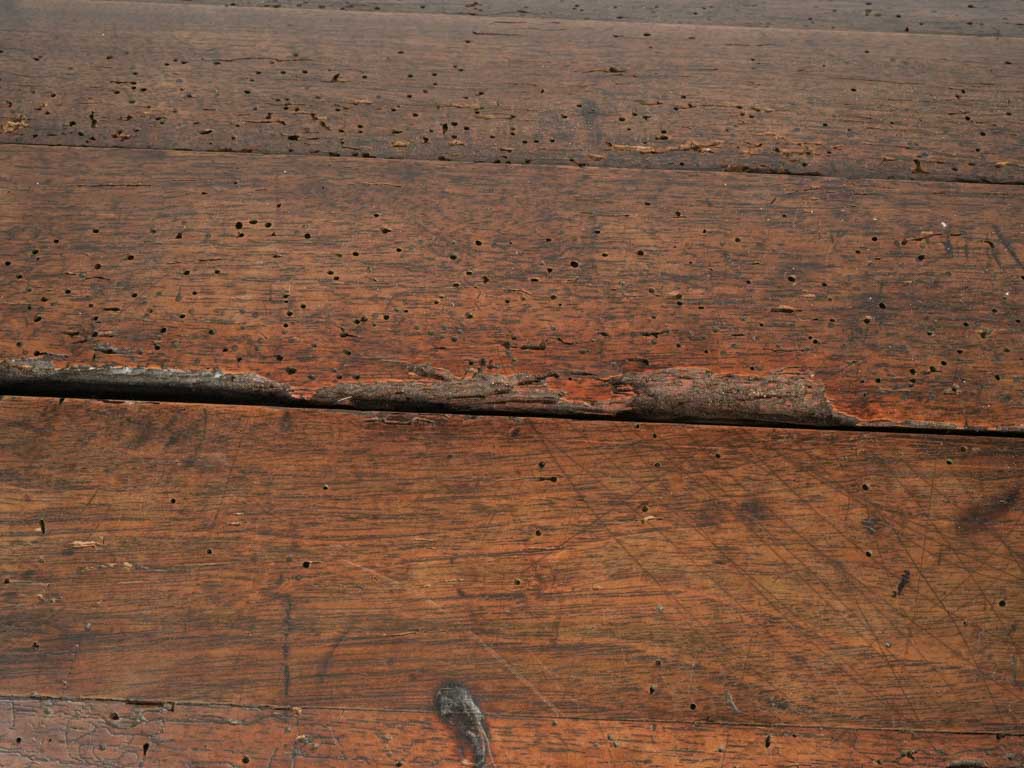 Unique, historical artifact chest | Antique Chest with Forged Hardware – Inherited by Lucienne Lazon, Creator of the Palme d'Or 27¼" x 50¾