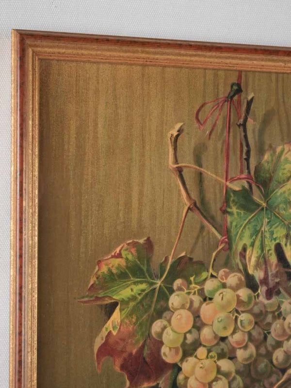 Vintage chromolithograph grapes pears plums