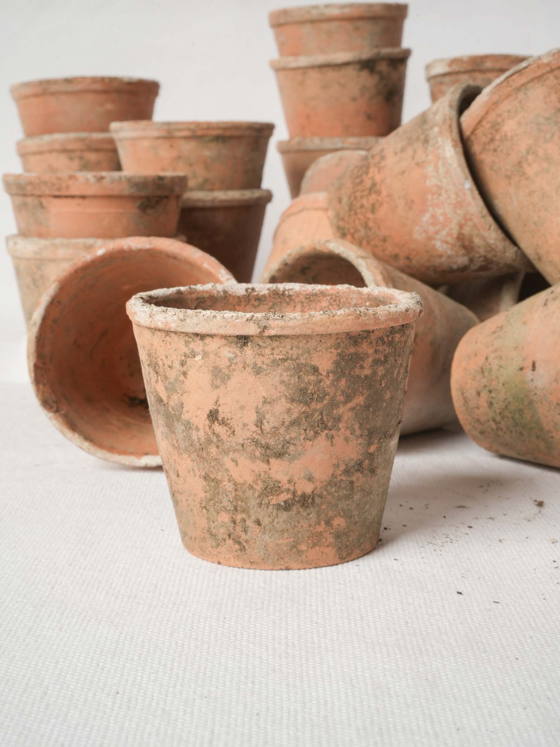 Set of 10 Petite Vintage French Terracotta Seedling Pots - 2¾" x 3¼"