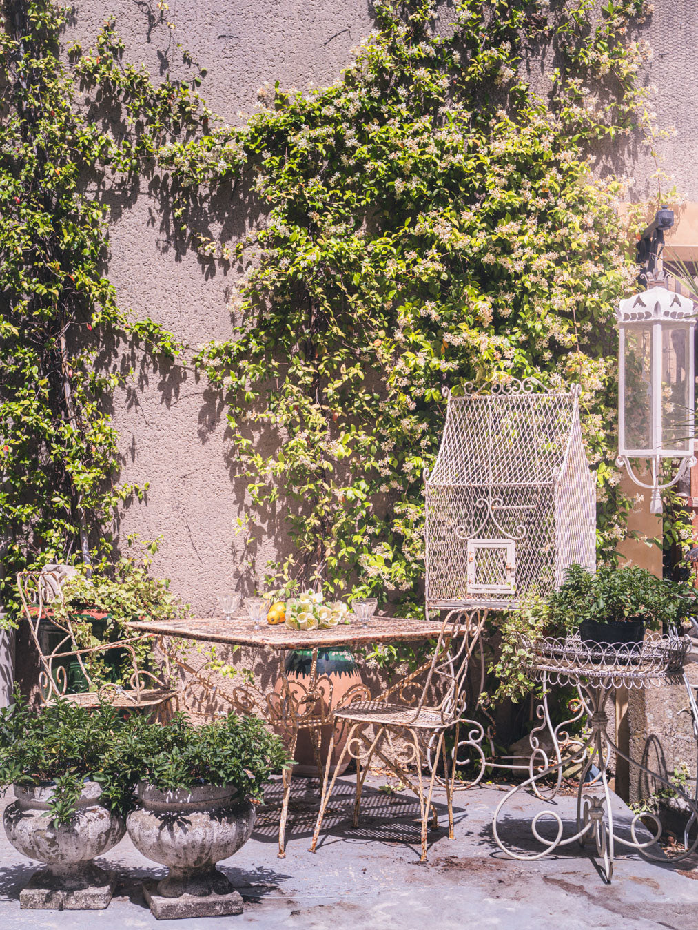 Early 20th-Century French Wrought Iron Plant Stand