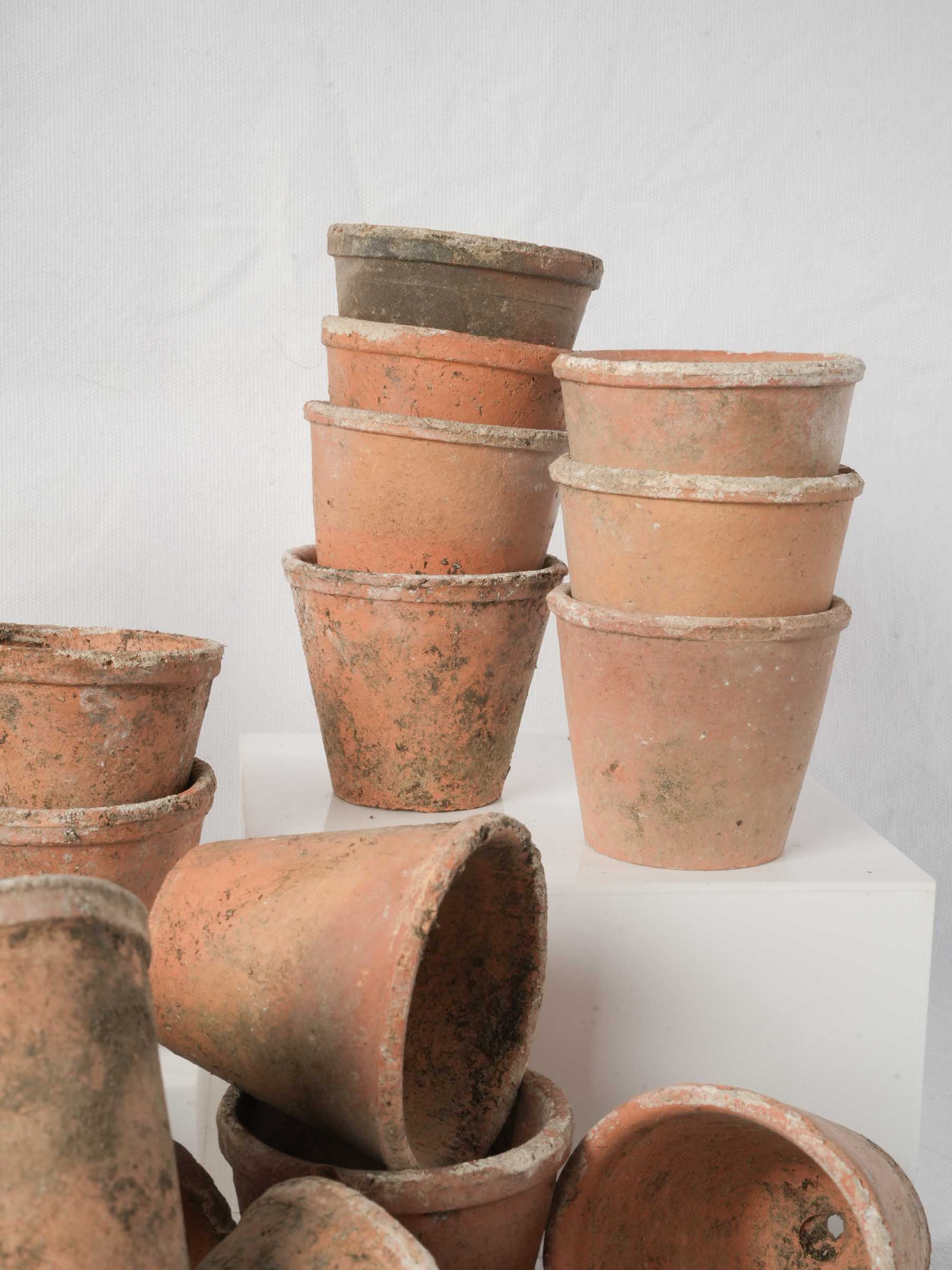 Set of 10 Petite Vintage French Terracotta Seedling Pots - 2¾" x 3¼"