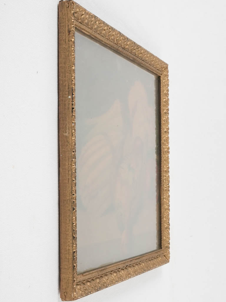 Old-world charm tomato-patterned chromolithograph