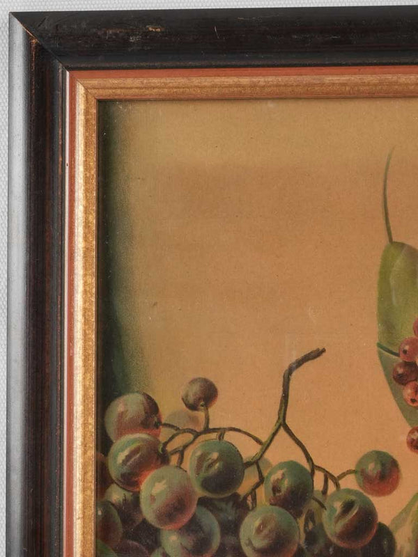 Vintage colorful chromolithograph, mixed fruits