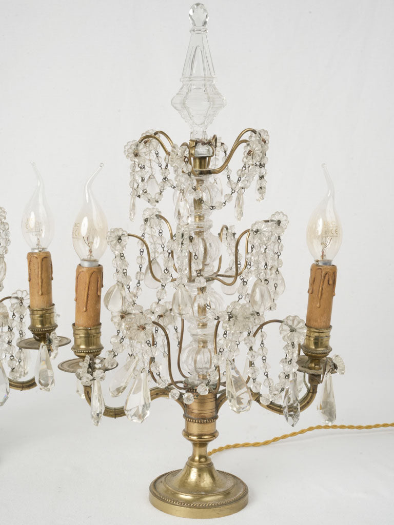 Opulent crystal drop lamps